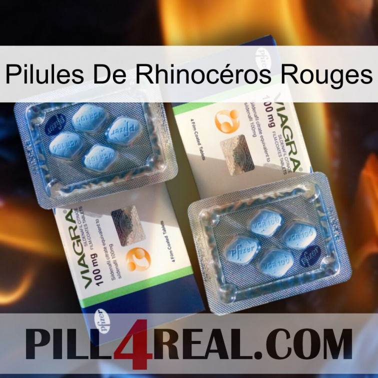 Pilules De Rhinocéros Rouges viagra5